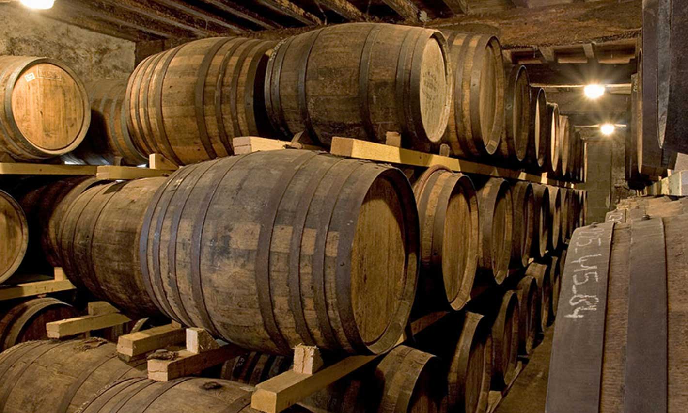 Armagnac 1310