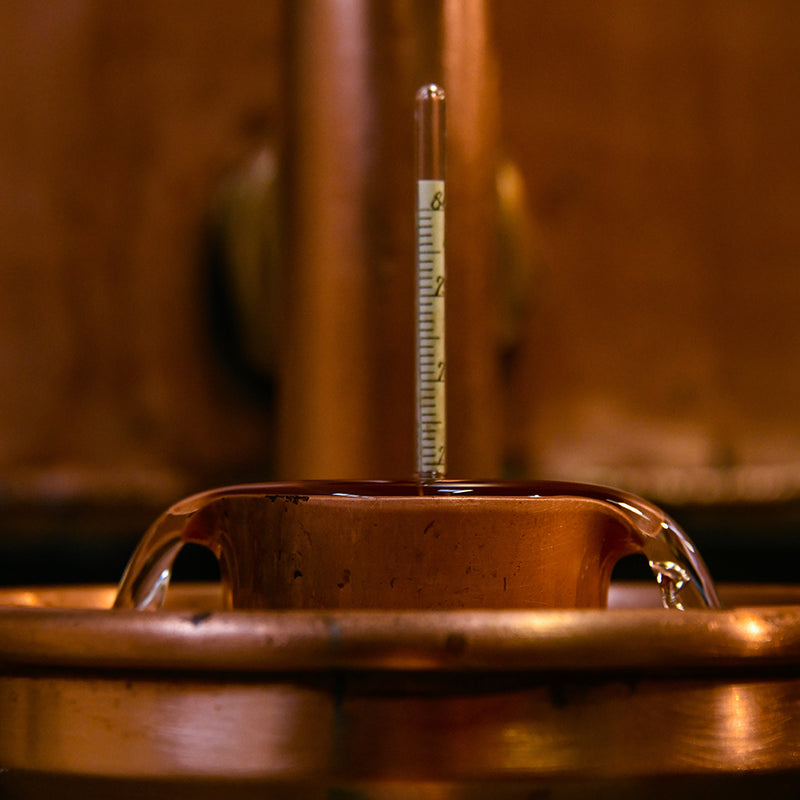 Maison de l'Armagnac - Maison de Delord