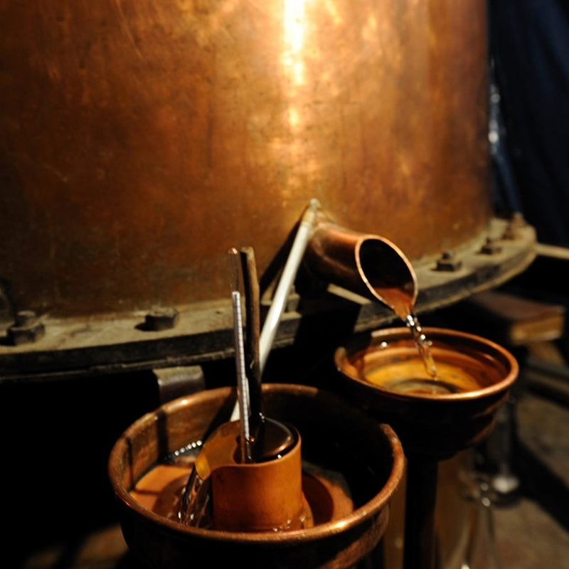 Maison de l'Armagnac Maison Gélas