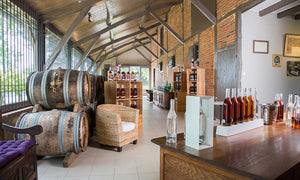 Maison de l'Armagnac - Maison Veuve Lafontan